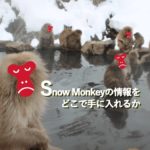 Snow Monkeyの情報をどこで手に入れるか